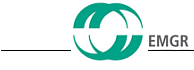 EMGR Elektromotorenwerk Grünhain logo